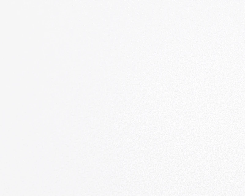 18154.webp